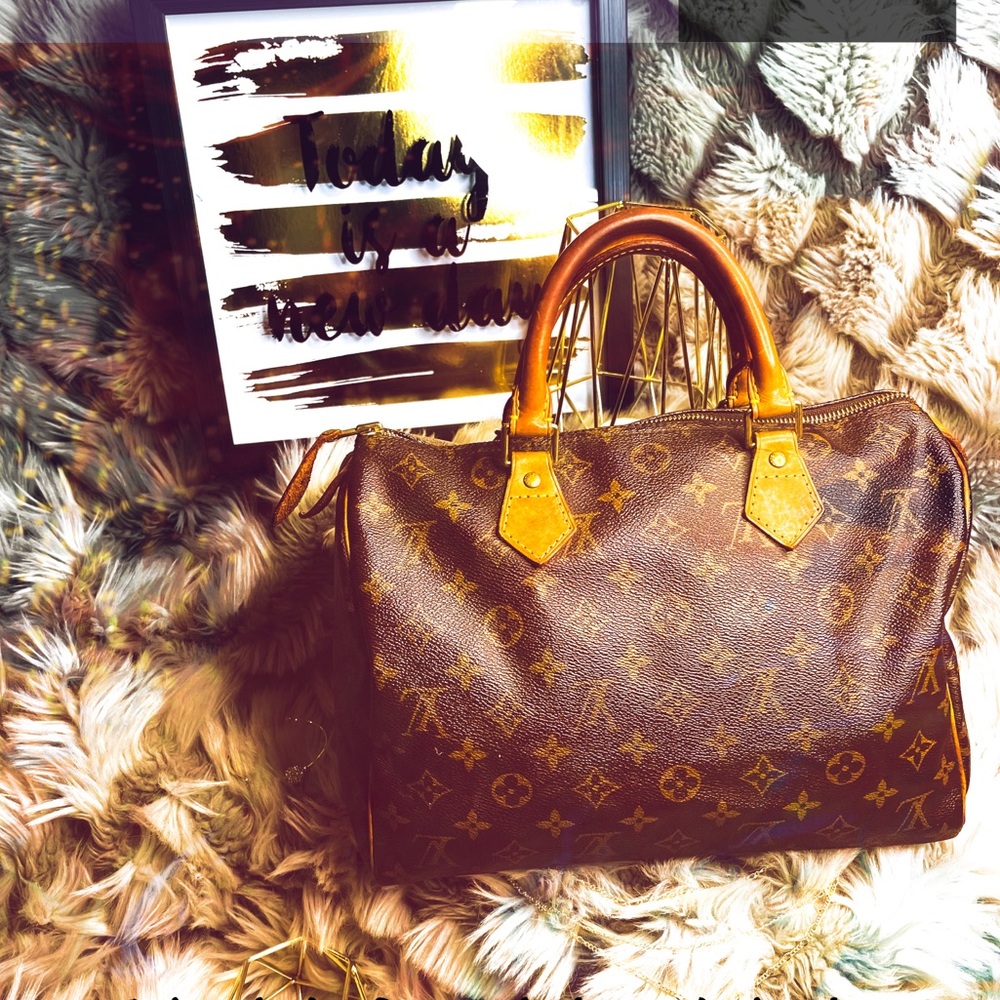 Louis Vuitton Speedy 30 Monogram